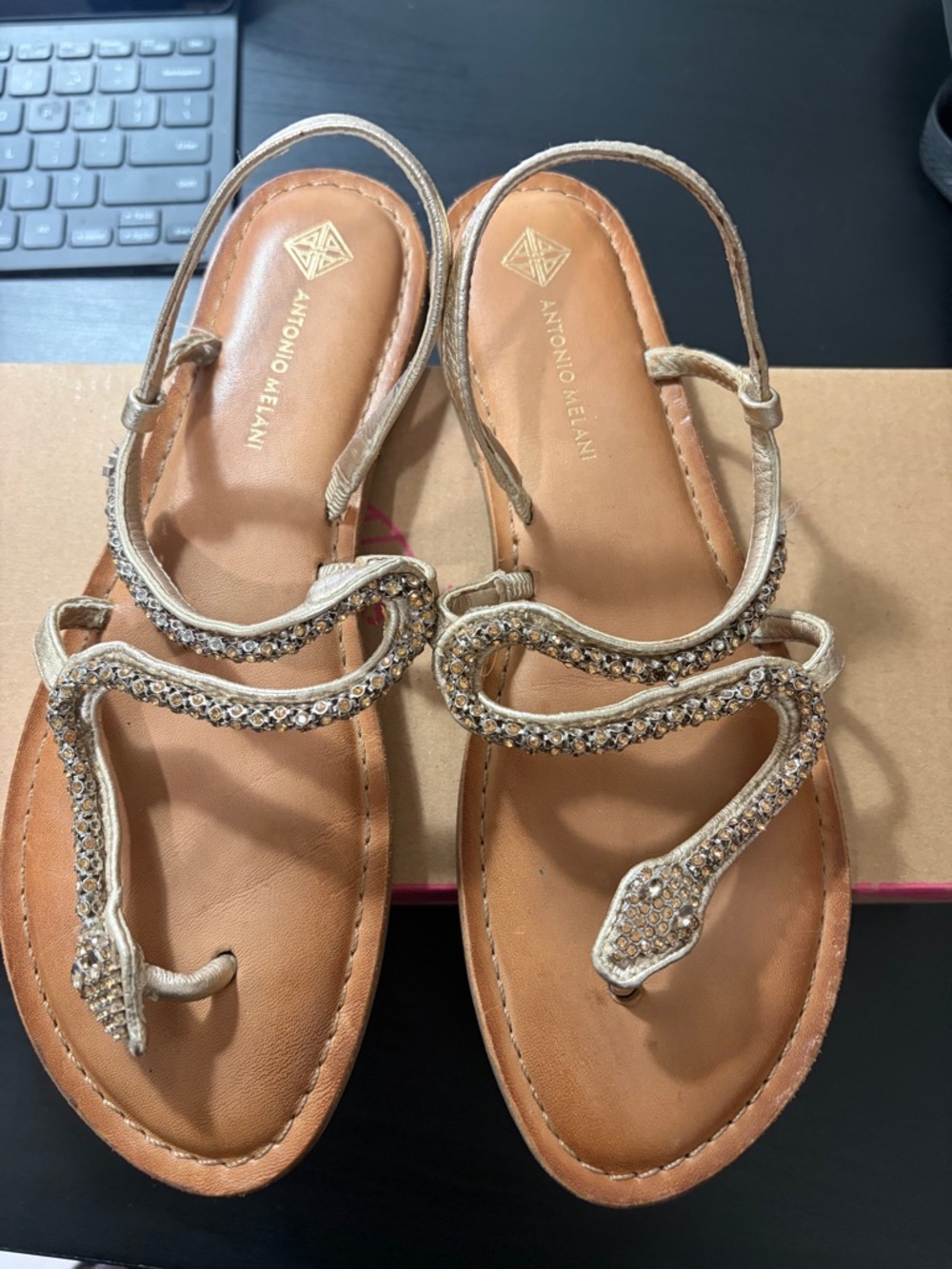 ANTONIO MELANI Gold Beaded Snake-Embellished T-Strap Sandals - Picture 8 of 8